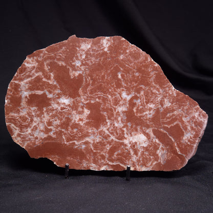 KUSSOIDELLA CF. LIMATA, Paleoproterozoic, Canada ZKL005