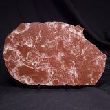 KUSSOIDELLA CF. LIMATA, Paleoproterozoic, Canada ZKL006