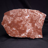 KUSSOIDELLA CF. LIMATA, Paleoproterozoic, Canada ZKL008