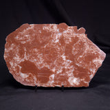 KUSSOIDELLA CF. LIMATA, Paleoproterozoic, Canada ZKL009