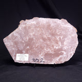 KUSSOIDELLA CF. LIMATA, Paleoproterozoic, Canada ZKL009