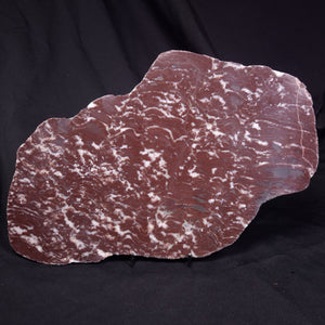 Stromatolite - Canada