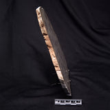 OMACHTENIA CF. KVARTISMMA, Paleoproterozoic, Canada ZOK002