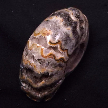 FLUORESCENT AMMONITE, East Timor XAT029