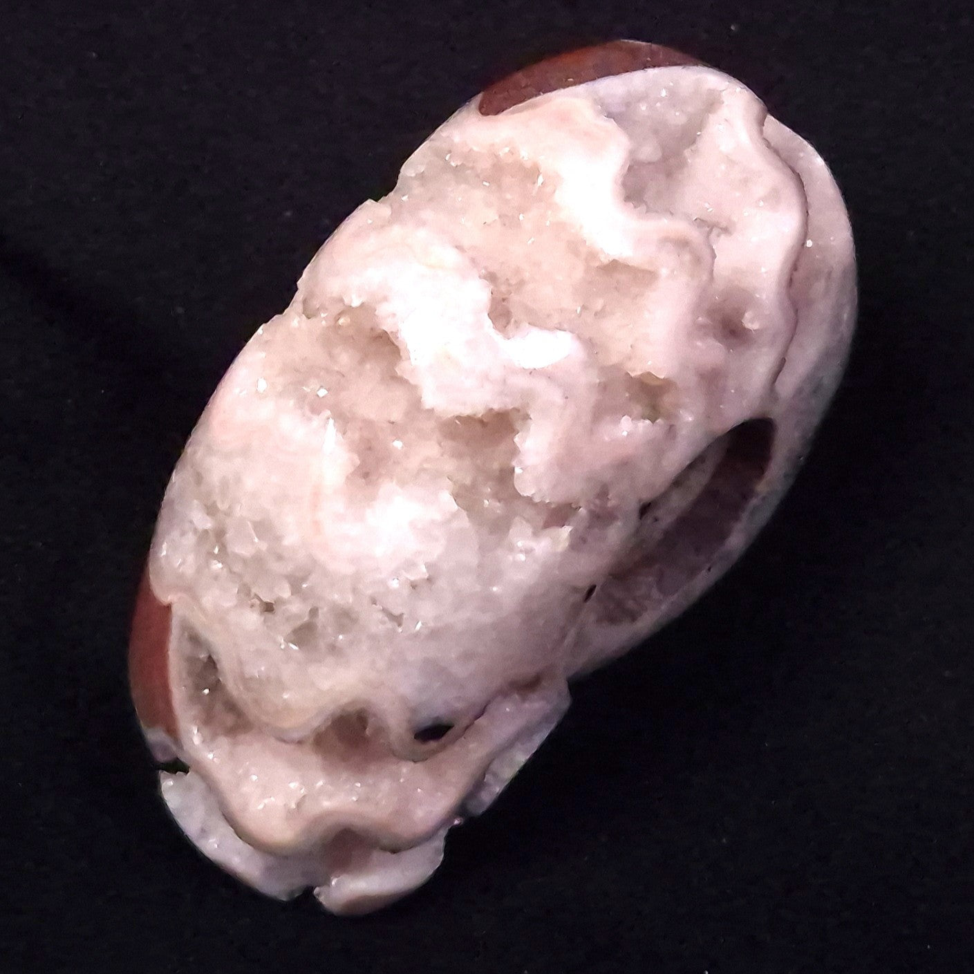 AMMONITE, East Timor XAT032