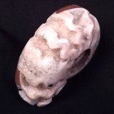 AMMONITE, East Timor XAT032