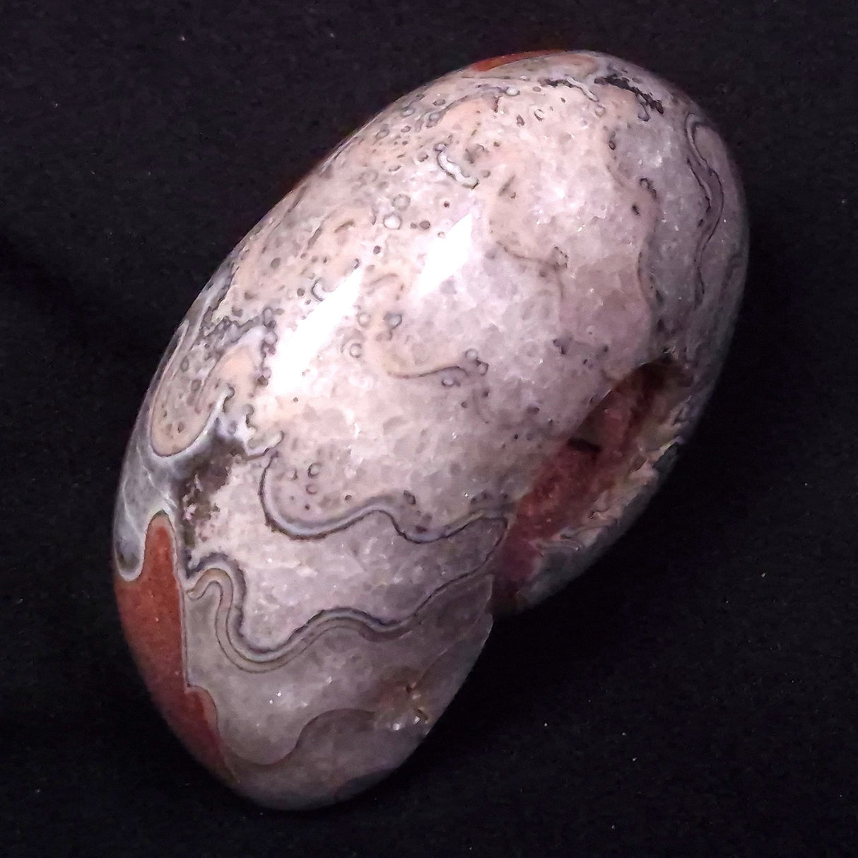 AMMONITE, East Timor XAT039