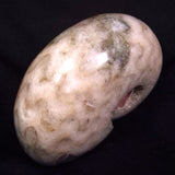 AMMONITE, East Timor XAT042