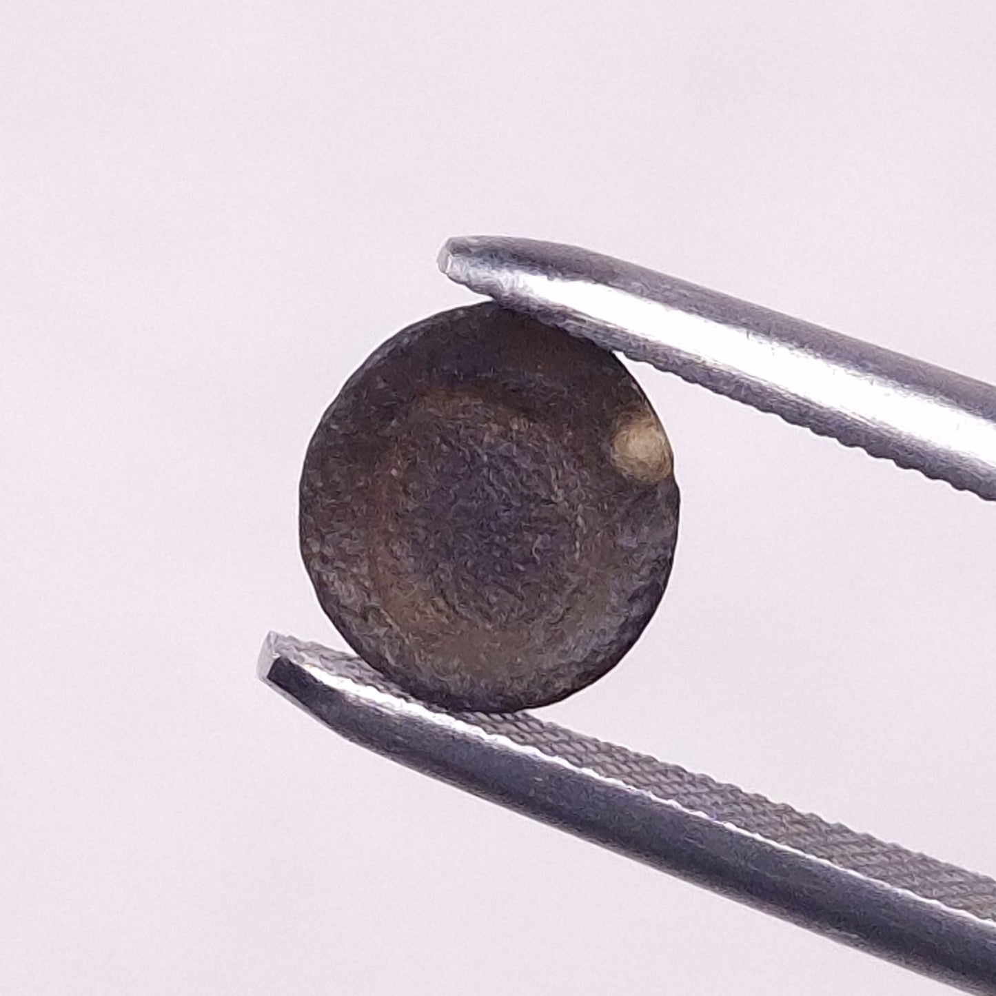 AUSTRALITE TEKTITE, Western Australia YSC102