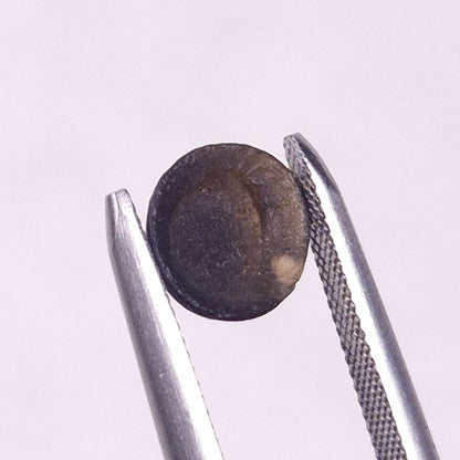 AUSTRALITE TEKTITE, Western Australia YSC102