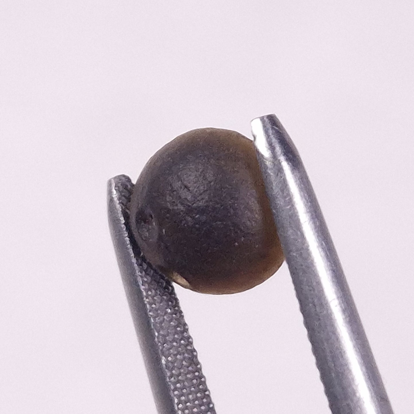 AUSTRALITE TEKTITE, Western Australia YSC102