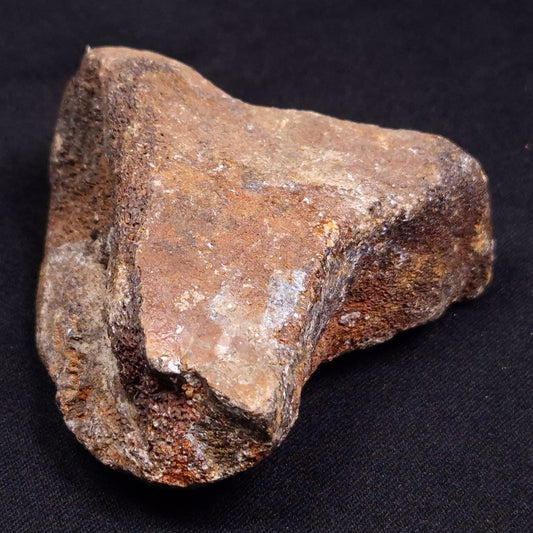 WOOLLY MAMMOTH BONE, Late Pleistocene, North Sea XMB001