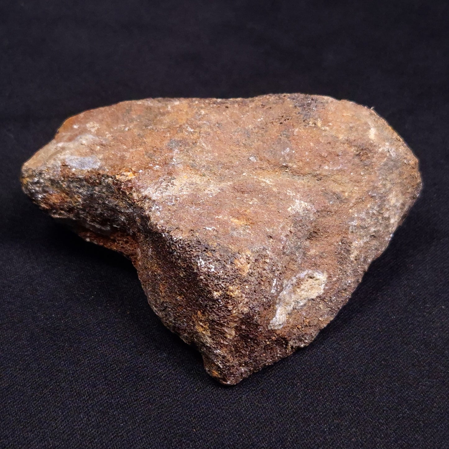 WOOLLY MAMMOTH BONE, Late Pleistocene, North Sea XMB001