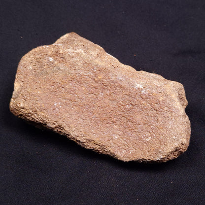 WOOLLY MAMMOTH BONE, Late Pleistocene, North Sea XMB003