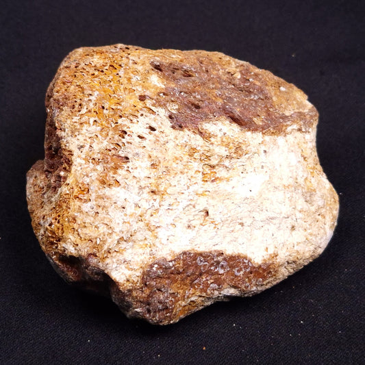 WOOLLY MAMMOTH BONE, Late Pleistocene, North Sea XMB004