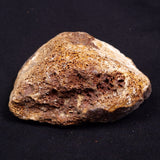 WOOLLY MAMMOTH BONE, Late Pleistocene, North Sea XMB004