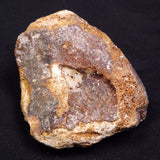 WOOLLY MAMMOTH BONE, Late Pleistocene, North Sea XMB004