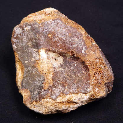 WOOLLY MAMMOTH BONE, Late Pleistocene, North Sea XMB004