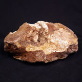 WOOLLY MAMMOTH BONE, Late Pleistocene, North Sea XMB011