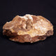 Fossil Bones