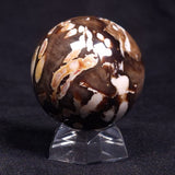 PEANUT WOOD PETRIFIED WOOD SPHERE, Cretaceous, Australia YPS001