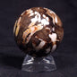 PEANUT WOOD PETRIFIED WOOD SPHERE, Cretaceous, Australia YPS001