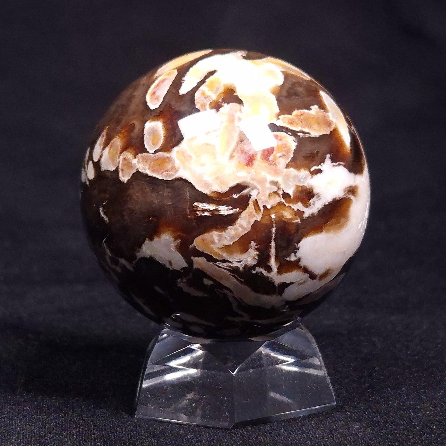 PEANUT WOOD PETRIFIED WOOD SPHERE, Cretaceous, Australia YPS001