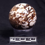 PEANUT WOOD PETRIFIED WOOD SPHERE, Cretaceous, Australia YPS002