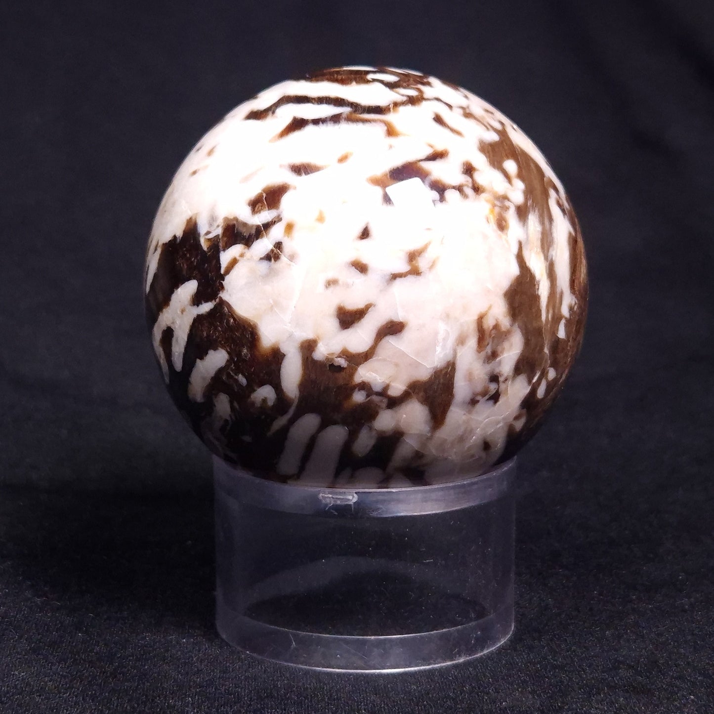 PEANUT WOOD PETRIFIED WOOD SPHERE, Cretaceous, Australia YPS002