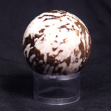 PEANUT WOOD PETRIFIED WOOD SPHERE, Cretaceous, Australia YPS002