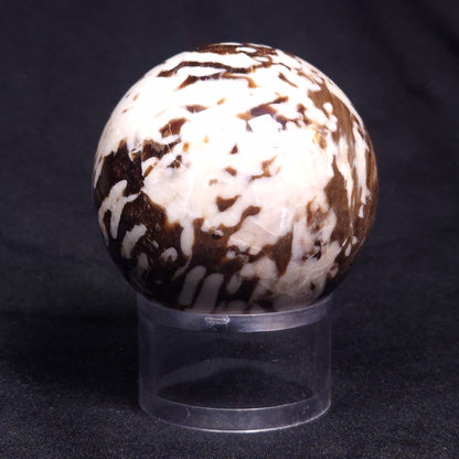 PEANUT WOOD PETRIFIED WOOD SPHERE, Cretaceous, Australia YPS002