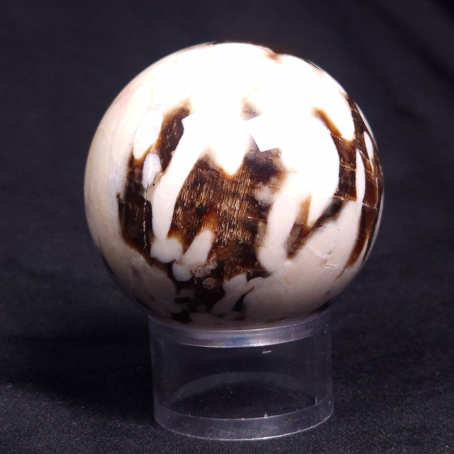PEANUT WOOD PETRIFIED WOOD SPHERE, Cretaceous, Australia YPS003