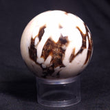 PEANUT WOOD PETRIFIED WOOD SPHERE, Cretaceous, Australia YPS003