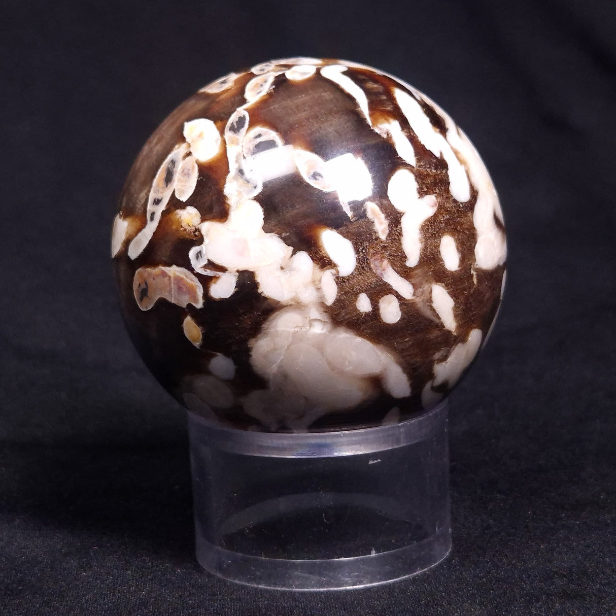 PEANUT WOOD PETRIFIED WOOD SPHERE, Cretaceous, Australia YPS004
