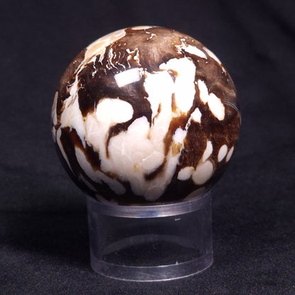 PEANUT WOOD PETRIFIED WOOD SPHERE, Cretaceous, Australia YPS004
