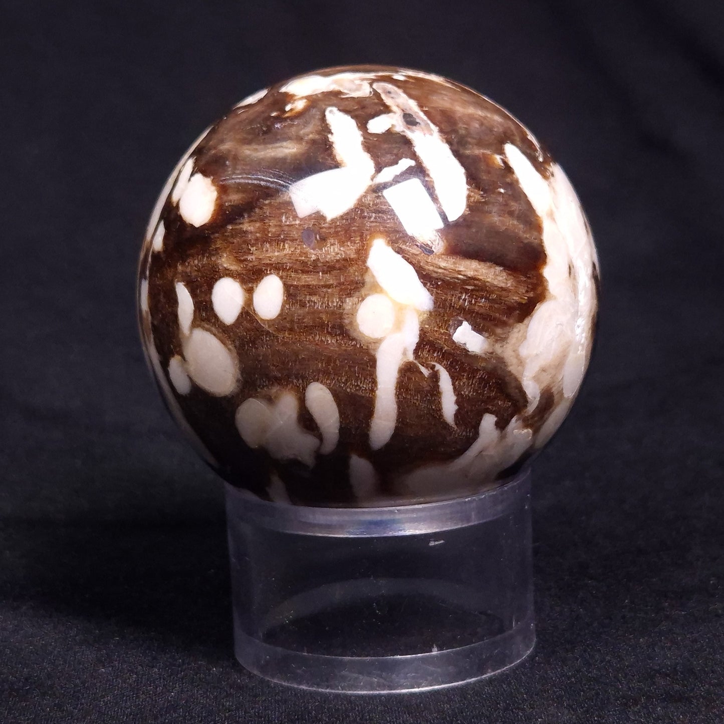 PEANUT WOOD PETRIFIED WOOD SPHERE, Cretaceous, Australia YPS004