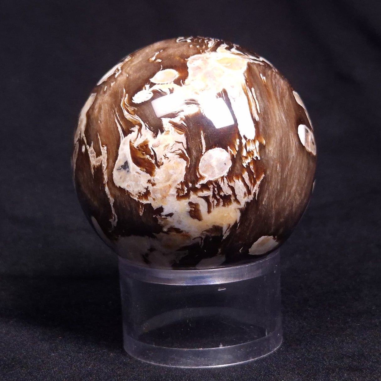 PEANUT WOOD PETRIFIED WOOD SPHERE, Cretaceous, Australia YPS004