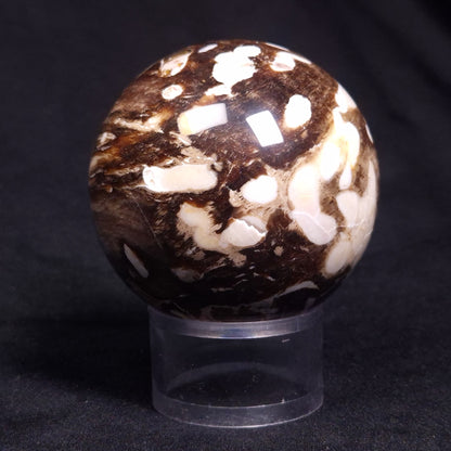 PEANUT WOOD PETRIFIED WOOD SPHERE, Cretaceous, Australia YPS005