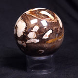 PEANUT WOOD PETRIFIED WOOD SPHERE, Cretaceous, Australia YPS006
