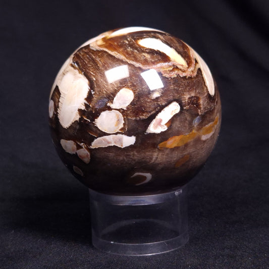 PEANUT WOOD PETRIFIED WOOD SPHERE, Cretaceous, Australia YPS006