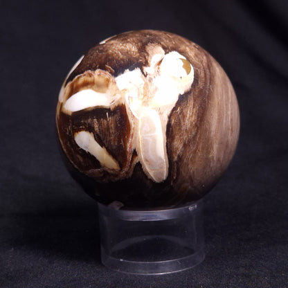 PEANUT WOOD PETRIFIED WOOD SPHERE, Cretaceous, Australia YPS006