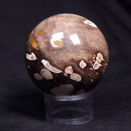 PEANUT WOOD PETRIFIED WOOD SPHERE, Cretaceous, Australia YPS006