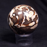 PEANUT WOOD PETRIFIED WOOD SPHERE, Cretaceous, Australia YPS007