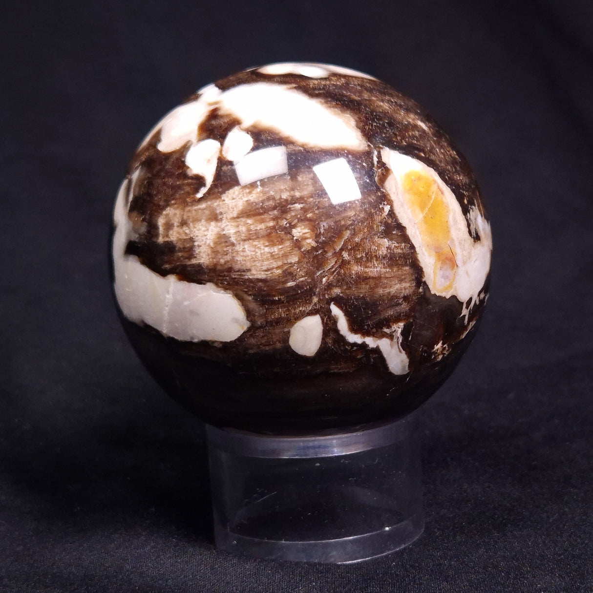 PEANUT WOOD PETRIFIED WOOD SPHERE, Cretaceous, Australia YPS007