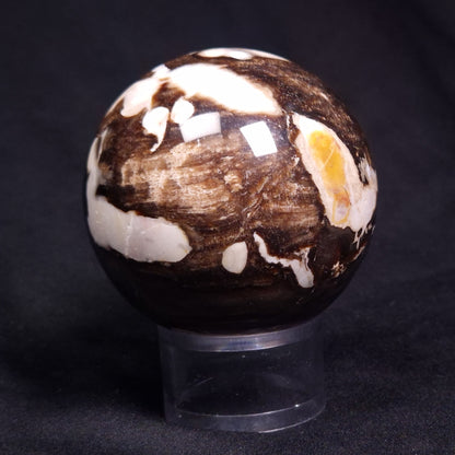 PEANUT WOOD PETRIFIED WOOD SPHERE, Cretaceous, Australia YPS007