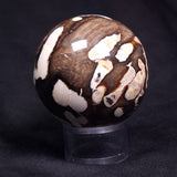 PEANUT WOOD PETRIFIED WOOD SPHERE, Cretaceous, Australia YPS007