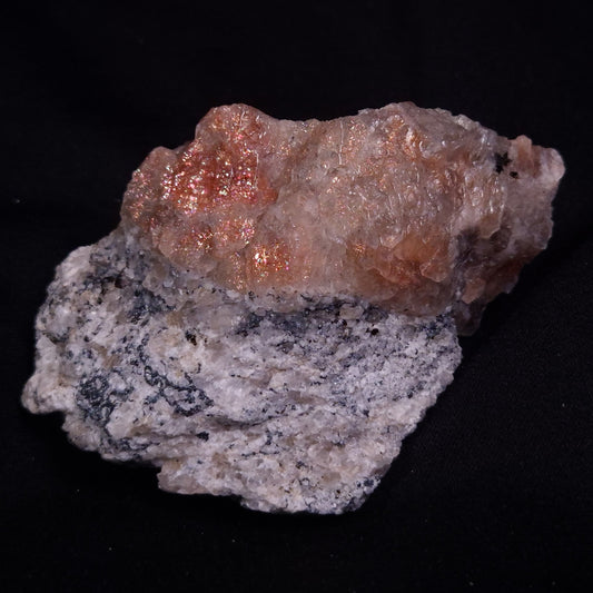 CONFETTI SUNSTONE, Australia XSU003