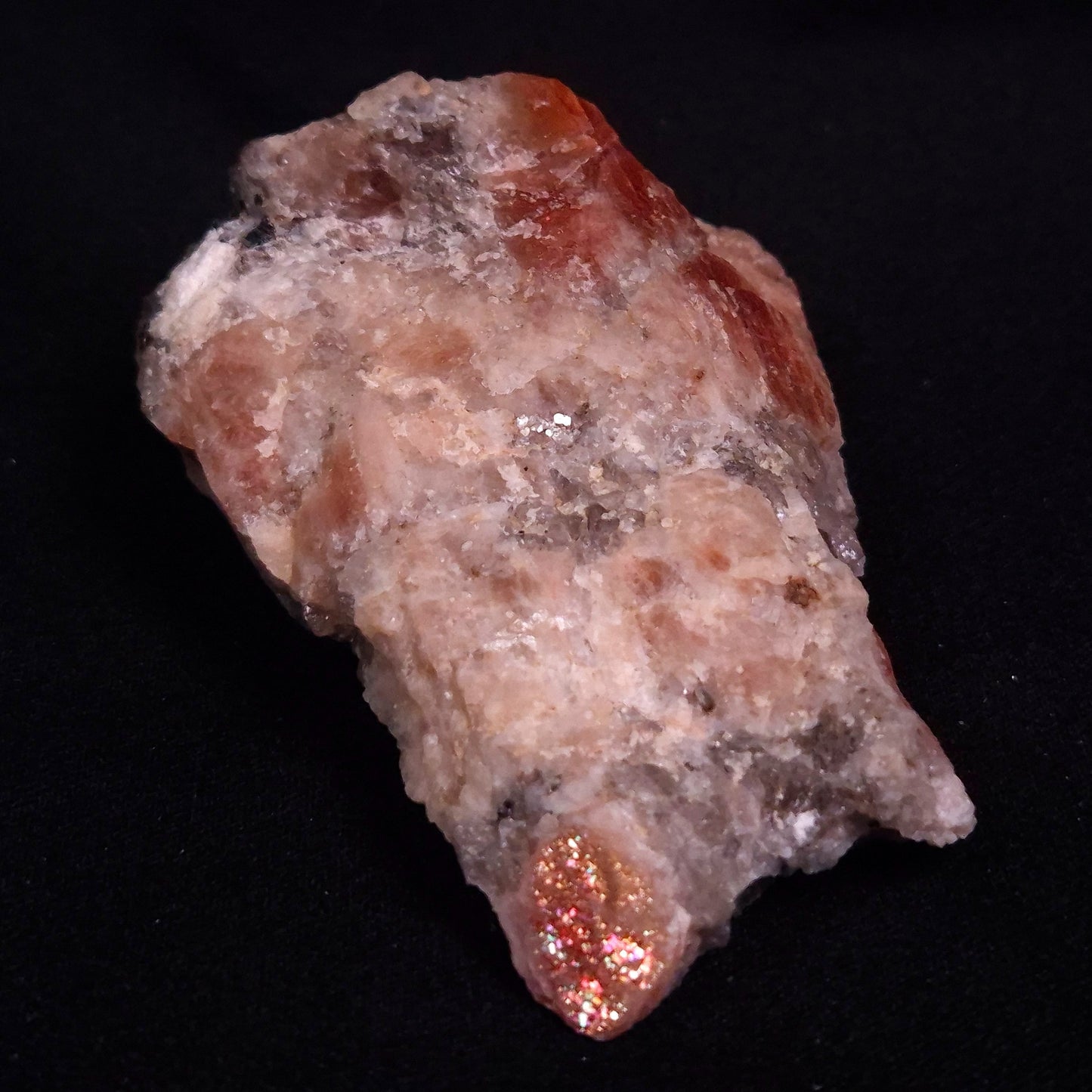 CONFETTI SUNSTONE, Australia XSU007