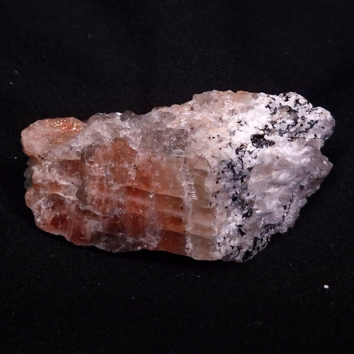 CONFETTI SUNSTONE, Australia XSU010