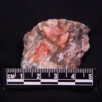 CONFETTI SUNSTONE, Australia XSU014